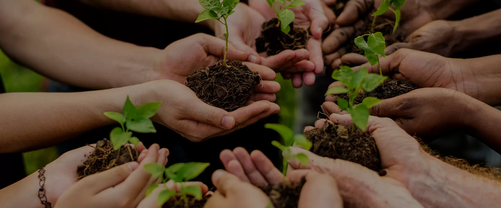 Social Responsibility