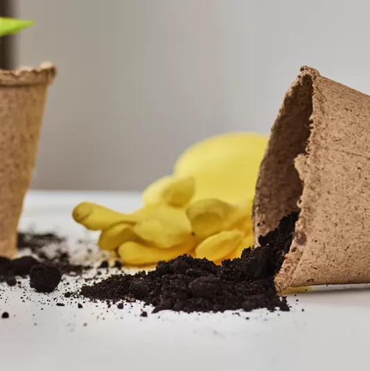 Compostable Biodegradable Material