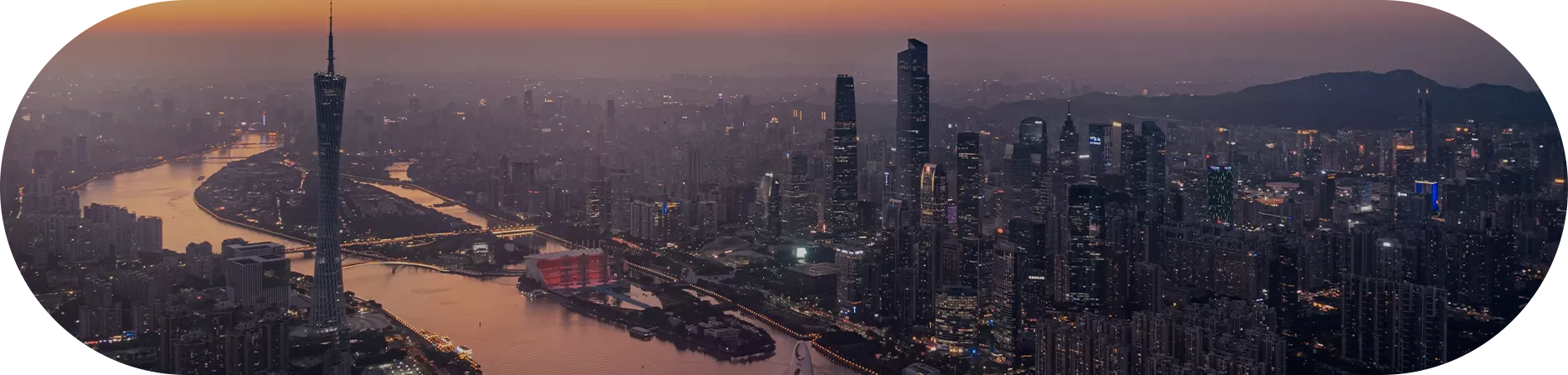 Get in Touch with Packnetic Now!