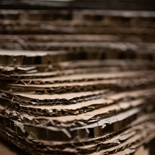 Corrugated Board
