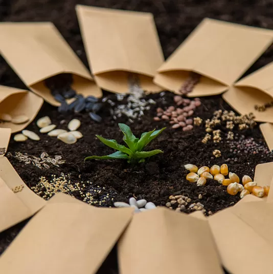 Compostable Biodegradable Material