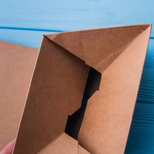 Foldable Box